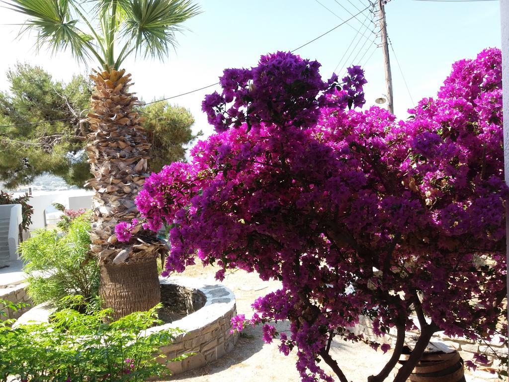 Krotiri Bay -Adults Only Πάρος Εξωτερικό φωτογραφία